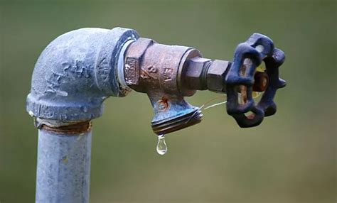 How to Fix a Leaky Garden Hose Spigot: Quick and Easy Solutions